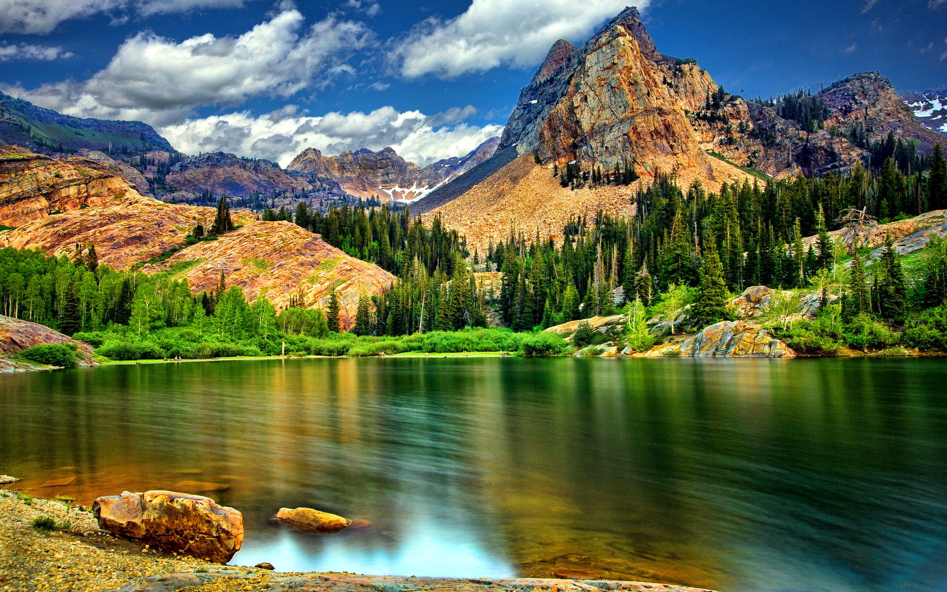 Nature Image